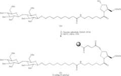 Figure US08106022-20120131-C00120