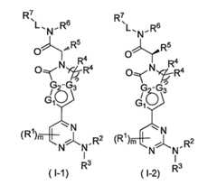 Figure 109117157-A0101-13-0003-96