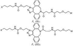 Figure BDA0003590456550001272