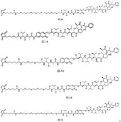 Figure FDA0003376679430000091