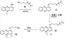 Figure BPA00001263293900191