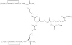 Figure US07906485-20110315-C00049