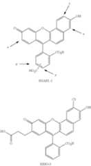 Figure US07968346-20110628-C00002