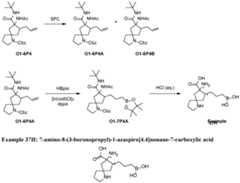 Figure imgf000225_0001