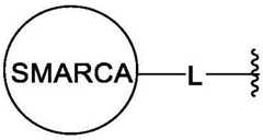 Figure BDA0003783300830001123