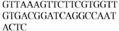 Figure imgb0471