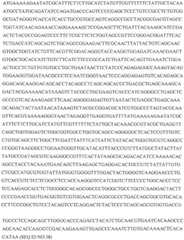 Figure GDA0002870045410000981