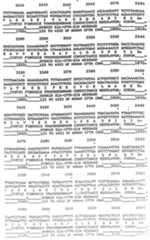 Figure imgf000075_0001