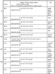 Figure imgf000108_0001