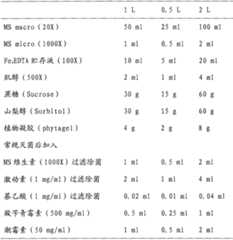 Figure BSA00000340984900191