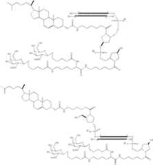 Figure US08106022-20120131-C00075