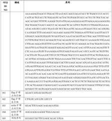 Figure PCTCN2022110545-appb-000101