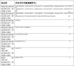 Figure BDA0003146893130001361