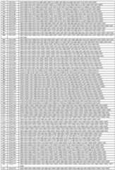 Figure imgf000058_0001