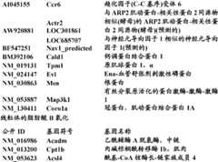 Figure BDA0000057170160000701