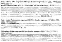 Figure imgf000006_0001