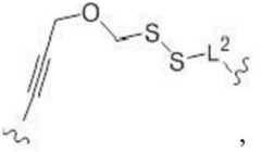 Figure BDA0003670511740003702