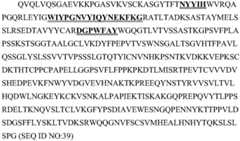 Figure BDA0003285627320001361