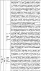 Figure BDA0004033970230007041