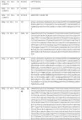 Figure BDA0002591526010000761