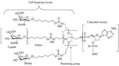 Figure imgf000160_0002
