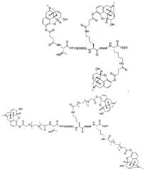 Figure imgf000055_0001