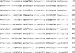 Figure A200680035037D00482