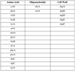 Figure imgf000197_0001