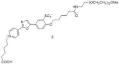 Figure BDA0003283516270000231