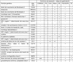 Figure imgf000060_0001