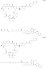 Figure US11364300-20220621-C00435