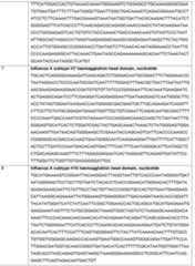 Figure imgf000077_0001