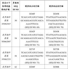 Figure BDA0002978200010002172