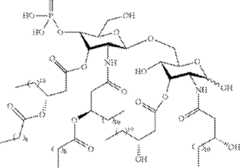 Figure AU2017223460A1_D0007