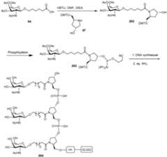 Figure imgf000269_0002
