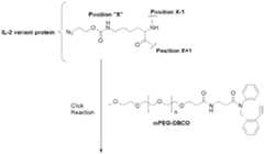 Figure imgf000030_0002