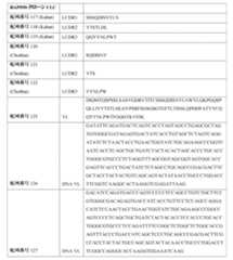 Figure 0007483732000053