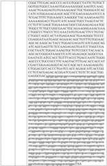 Figure BDA0004033970230008001