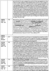 Figure imgf000171_0001