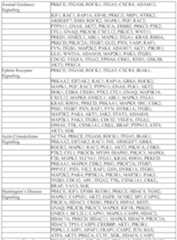 Figure imgf000081_0001