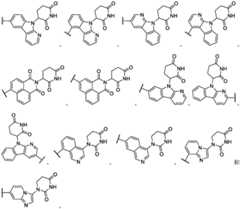 Figure FDA0003783300820000301