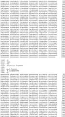 Figure IDA0002956488510000151