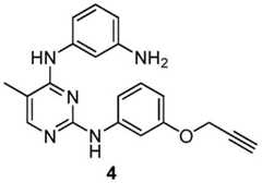 Figure BDA0001453135130001592