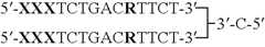 Figure US07851453-20101214-C00019