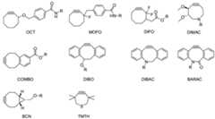 Figure imgf000027_0001