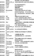 Figure BDA0000057170160001311