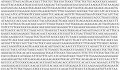 Figure PCTCN2022073808-appb-000149