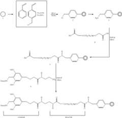 Figure US06340588-20020122-C00001