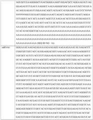 Figure imgf000368_0001