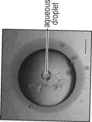 Figure GB2561157A_D0016